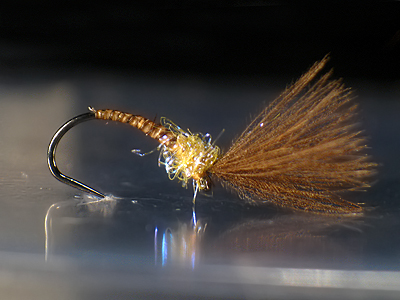 pin von robert waters auf emergentes